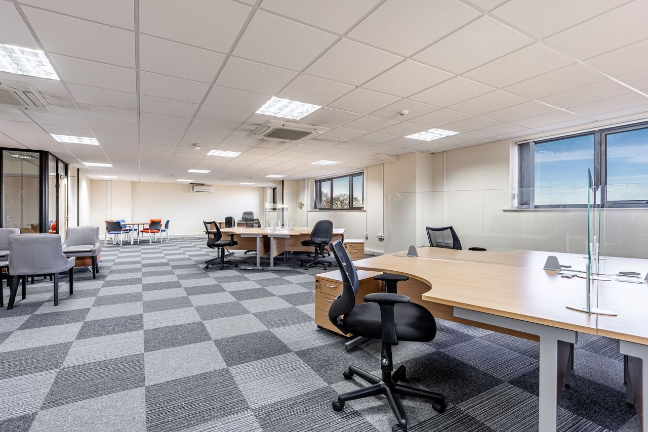 Spacious modern office with open-plan desks, black chairs, grey checkered carpet, and large windows providing natural light.